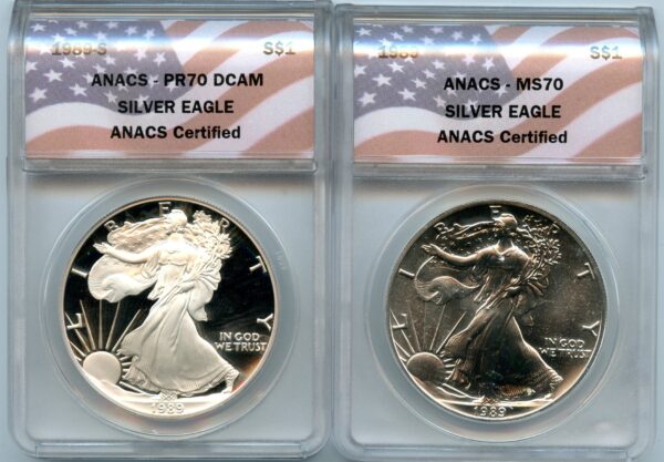 1989 Silver Eagle Two Coin Mint State & Proof Set