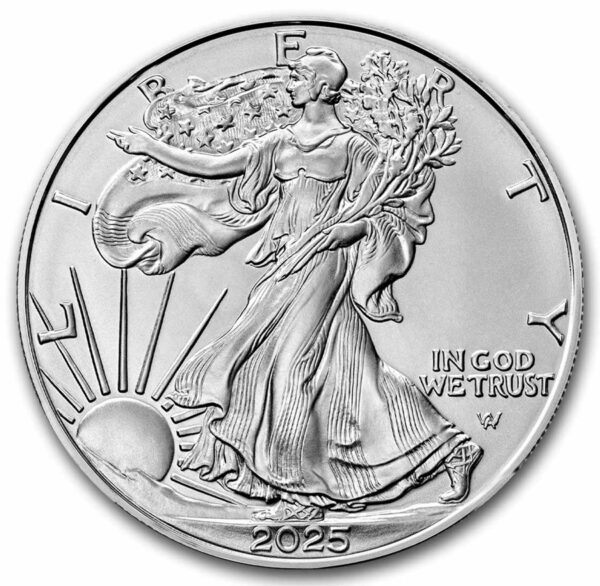 1 oz  Silver American Eagle - Random Date